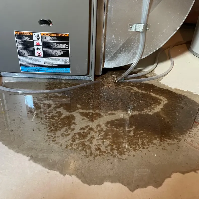 Appliance Leak Cleanup in Haw River, NC