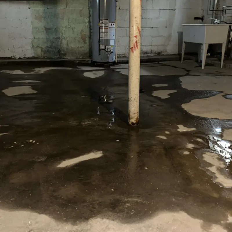 Emergency Water Extraction And Removal in Haw River, NC